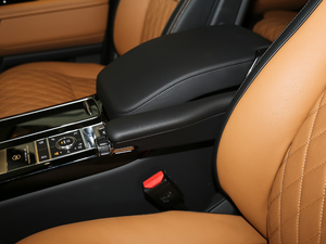 20205.0 V8 SC 50 SVذ g