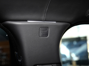 20205.0 V8 SC 50 SVذ g