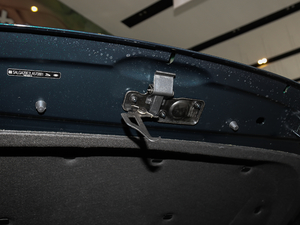 20205.0 V8 SC 50 SVذ 