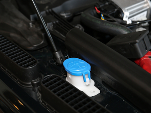 20205.0 V8 SC 50 SVذ 