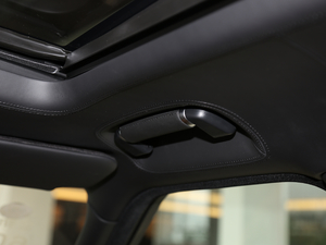 20205.0 V8 SC 50 SVذ g