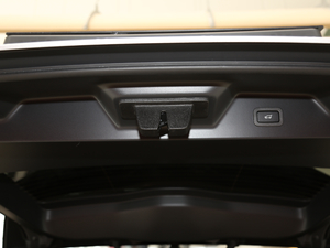 20205.0 V8 SC 50 SVذ g