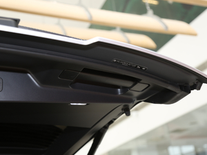 20205.0 V8 SC 50 SVذ g