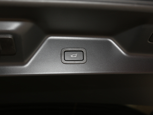 20205.0 V8 SC 50 SVذ g