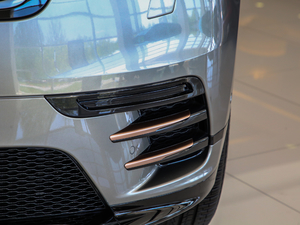 2020380PS R-Dynamic SE ^