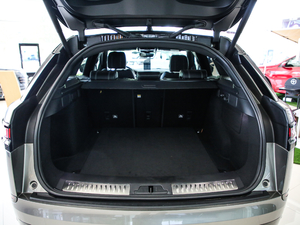 2020380PS R-Dynamic SE g