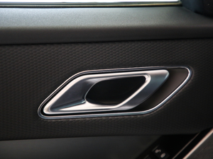 2020380PS R-Dynamic SE g