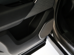 2020380PS R-Dynamic SE g