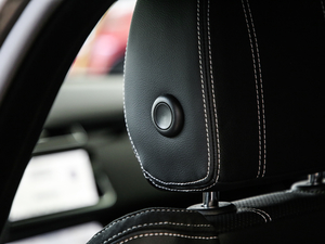 2020380PS R-Dynamic SE g