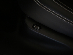 2020380PS R-Dynamic SE g