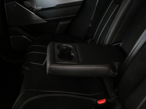 2020380PS R-Dynamic SE g