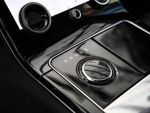 2020380PS R-Dynamic SE QU