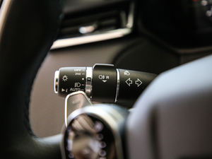 2020380PS R-Dynamic SE п؅^(q)