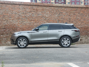 2020250PS R-Dynamic S (c)