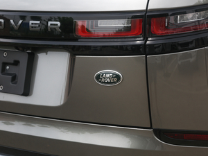 2020250PS R-Dynamic S ^