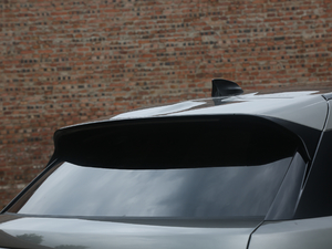 2020250PS R-Dynamic S ^