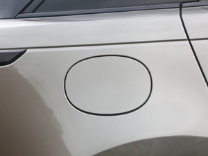 2020250PS R-Dynamic S ^