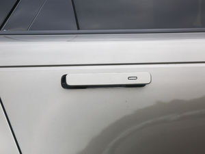 2020250PS R-Dynamic S {T