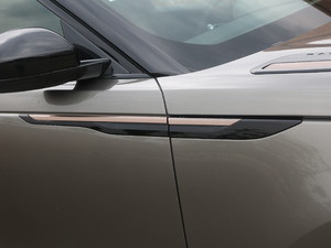 2020250PS R-Dynamic S ^