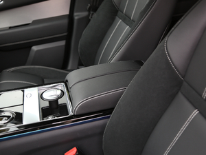 2020250PS R-Dynamic S 