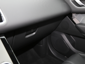 2020250PS R-Dynamic S g