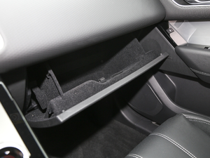 2020250PS R-Dynamic S 