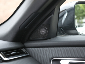 2020250PS R-Dynamic S g