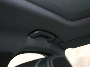 2020250PS R-Dynamic S g