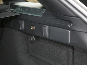 2020250PS R-Dynamic S g