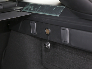 2020250PS R-Dynamic S g