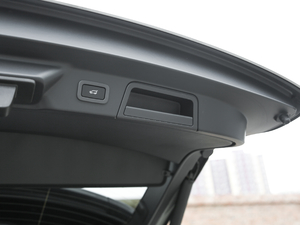 2020250PS R-Dynamic S g