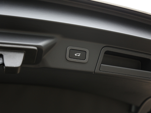 2020250PS R-Dynamic S g