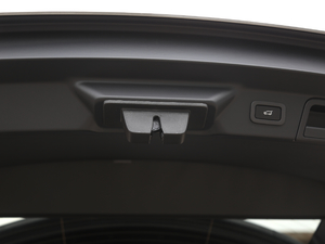 2020250PS R-Dynamic S g