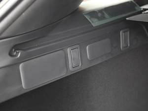 2020250PS R-Dynamic S g