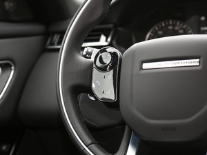 2020250PS R-Dynamic S {