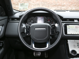 2020250PS R-Dynamic S P(pn)