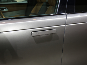 2020380PS R-Dynamic HSE {T