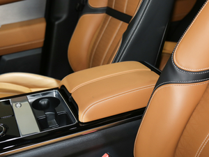 2020380PS R-Dynamic HSE 