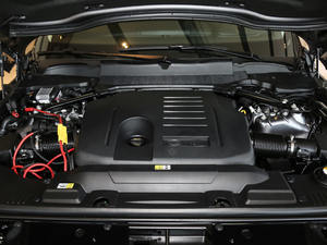 2021款3.0 L6 传世加长经典版 其它