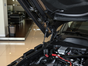 2021款3.0 L6 传世加长经典版 其它