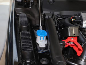 20215.0 SC V8 SVAҫҹ\Ӱ 