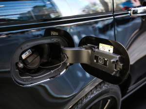 20215.0 SC V8 SVAҫҹ\Ӱ ^