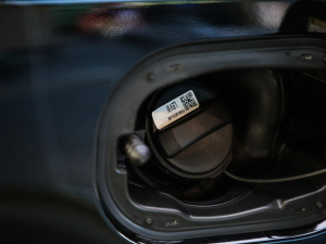 20215.0 SC V8 SVAҫҹ\Ӱ ^