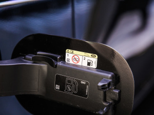 20215.0 SC V8 SVAҫҹ\Ӱ ^