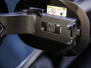 20215.0 SC V8 SVAҫҹ\Ӱ ^