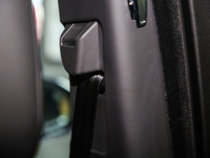 20215.0 SC V8 SVAҫҹ\Ӱ g