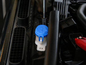 20215.0 SC V8 SVAҫҹ\Ӱ 