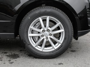 2021款3.0 L6 盛世版 轮圈