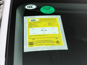 2021款3.0 L6 盛世版 工信部油耗标示