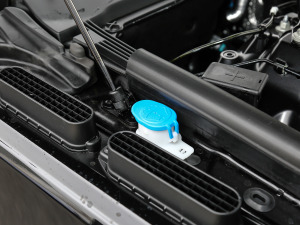 2021款3.0 L6 盛世版 其它